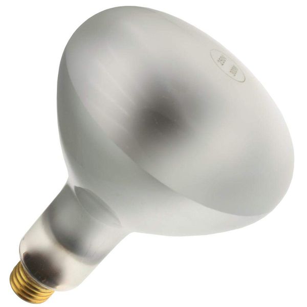 Floodlight 300R40/FL, 250 Volt, Medium Base, Frosted R40 Light Bulb (12 Pack)