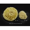 Premium Natural Sea Wool Sponges - 2 Soft Real Sponges 6"-7" (Large) & 3"- 4" (Medium); Perfect Luxury Gift for Bath, Shower and Cosmetic Facial Cleansing by Constantia Beauty®