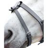 Shires Velociti GARA Flash Strap Full Black