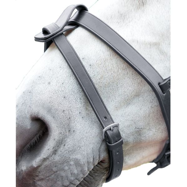 Shires Velociti GARA Flash Strap Full Black