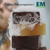 [ Handmade Natural EM (Effective Microorganism) Technology Bar Soap ] Dr. Benjamin EM Basic Bath Soap, 4.4 oz