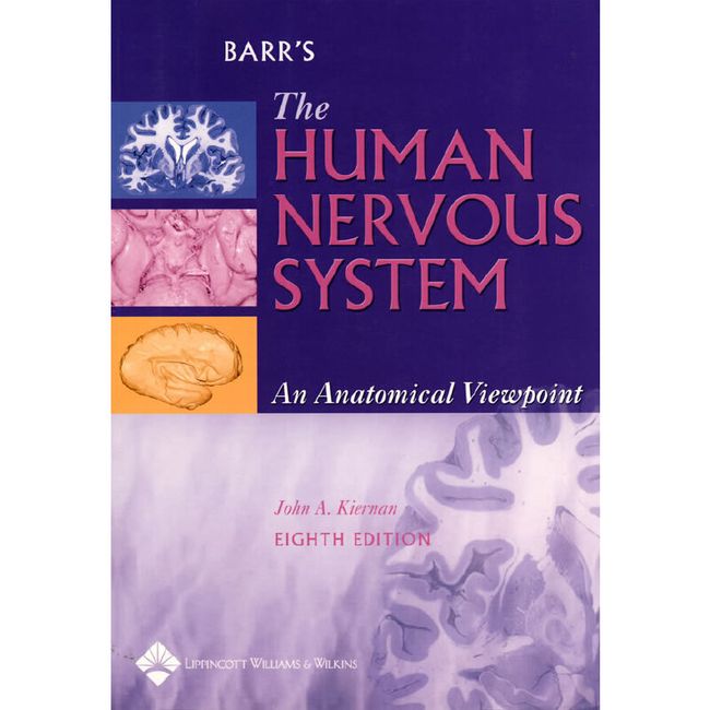 人体神经系统 BARR＇s:the Human Nervous System