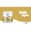Same and Silybin for Dogs - S-Adenosyl L-Methionine, Liver and Brain Supplements