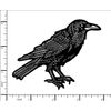 Raven (2 Pack) Embroidered Iron-On Patch – Gothic Crow Bird Exclusive Design