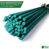 Elixir Gardens 2Ft Green Flower Sticks Cane Support 24" - 100