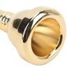 Gind Trombones Mouth Piece, Rustproof Easy Installation Trombone Mouthpiece Durable for Replacement(gold)