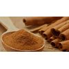 REVIVE - Immune Boost & Cold Relief Aromatherapy Essential Oil Blend 5ml Dropper