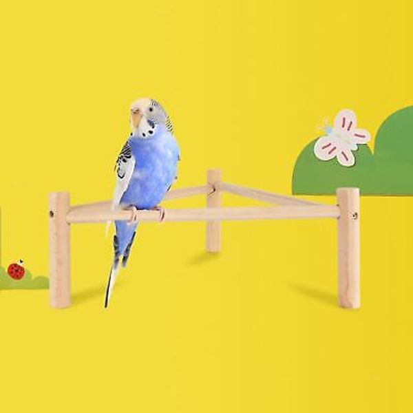 Tabletop Bird Stand Perch Playground Pet Parrot Playstand for Canaries