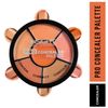 Insight Cosmetics Pro Concealer Palette - Concealer, 15gm