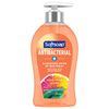Softsoap Antibacterial Liquid Hand Soap Pump, Crisp Clean - 11.25 fluid ounce