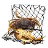 AirFly Foldable Castable Crabjaw Trap with Bait Clip - Rectangle Design Crab Trap Hawk
