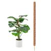Coco Coir Bendable Moss Pole for Monstera & Cheese Plants, 40cm