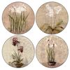 CoasterStone Subtle Flowers Absorbent Coasters, 4-1/4-Inch, Set of 4