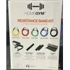 HOME GYM Resistant Band Kit 