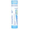 Boiron Colocynthis 30C, Approx. 80 Pellets