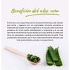 Aloe Vera Face Cream and Body 50 ml Tabaibaloe