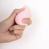 Rarapo Makeup Sponge Puff