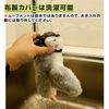Cat Toy, Play Alone, Electric, Rechargeable, Moves, Sounds, Automatic (Sparrow)