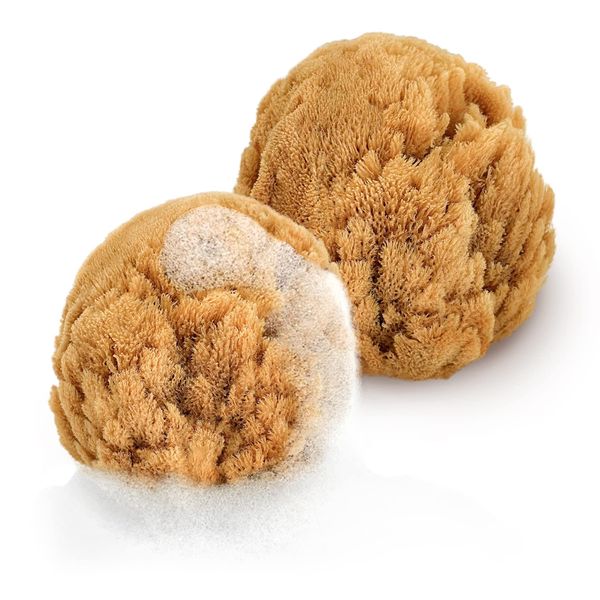 tom&pat Zimocca Baby Sponges Made of Natural Sponge, Set of 2 in Size: Medium & Small, Dermatest: Very Good, Directly from Greece, Plastic Free Packaging, Zero Waste, Premium Quality (2 x 7-10 cm)