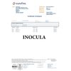 Inocula Lions Mane Extract Powder 100G