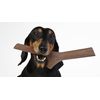 Bama Pet AP-19155 Tuttomio Play-More Pet Stick - Mini