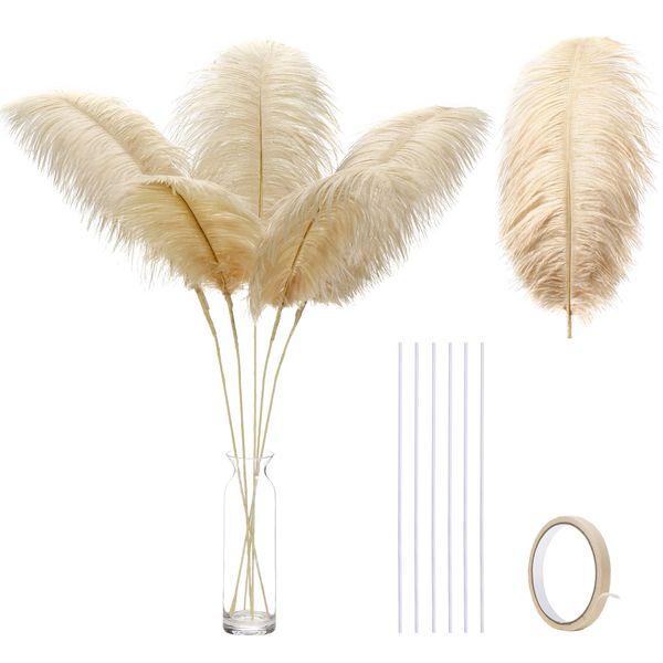 Ballinger Champagne Ostrich Feathers Bulk - Making Kit 10Pcs 28 inch Large Boho Feathers for Vase, Floral Arrangement, Wedding Party Centerpieces and Home Decor