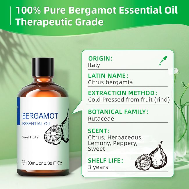 BERGAMOT ESSENTIAL OIL- BENEFITS, USES, AND ORIGIN