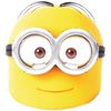 Despicable Me Minions Face Mask