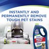 Woolite InstaClean Pet Full Size Machine Formula, 32 oz, 20581