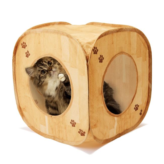 Nekoichi Cat Play Cube (wood grain pattern)