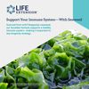 Life Extension Optimized Fucoidan with Maritech 926 Vegetarian - 60 Capsules