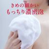 Hadakara Body Soap, Liquid, Rich Soap Scent, 16.9 fl oz (500 ml)