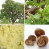 Unrefined Shea Butter 100G Ingredient Pack, Cosmetics Materials