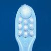 Ci Medical Neotuft Neotaft 12 Pack Boxed Regular Toothbrush
