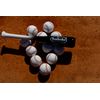BamBooBat Bamboo Bats HBBB18TM 18 Inch, White/Black (HWbb18TR)
