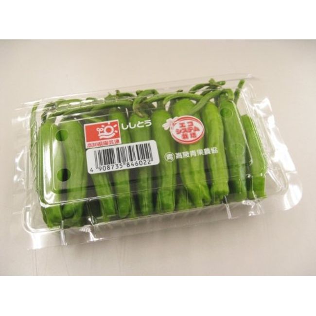 Daily General Vegetables Shishito Shishito 1 Pack