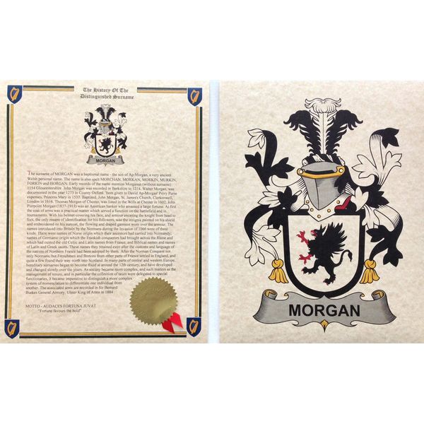 Morgan - Coat of Arms and Last Name History - 8.5x11 Print Combo Set