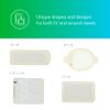 3M™ Tegaderm™ Transparent Film Dressing Frame Style, 1629, 8 in x 12 in (20 cm x 30 cm), 10/ct 8ct/Case