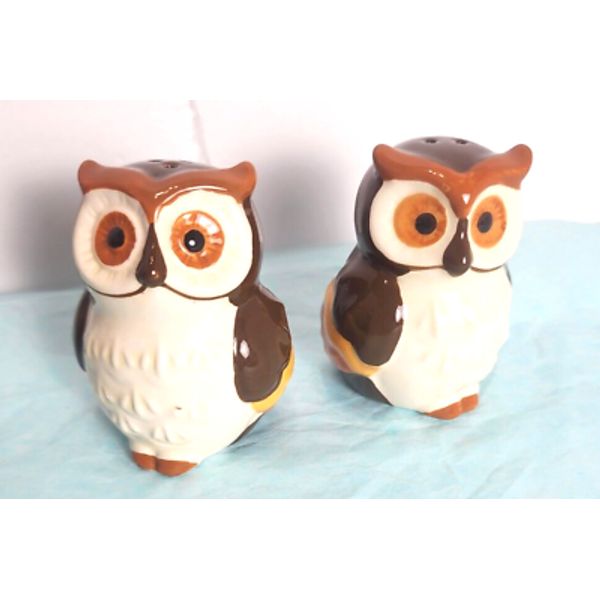 Vintage Ceramic Owl Salt & Pepper Shakers