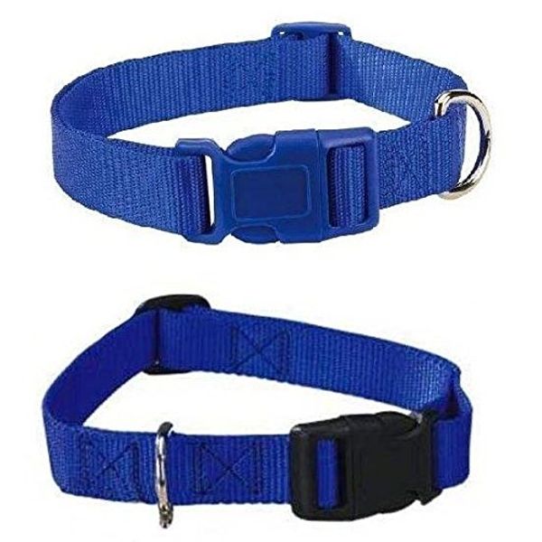 Zack & Zoey Blue Dog Collar Bulk LOT Packs 4 Sizes Nylon Litter Band Puppy Rescue Shelter(Small - 10 to 16 Inch 30 Collars)