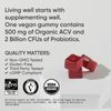 Apple Cider Vinegar 500mg Organic (60 gummies)