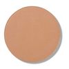 Runway Room Brosh Shade Light