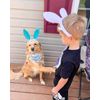Dog Bunny Ears Headband and Pet Easter Bandana
