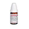 Cicuta virosa D200 DHU Globuli, 10 g Globuli