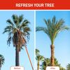 Extendable 26ft Telescoping Pole Saw Tool Kit Lightweight Sharp Tree Trimmer