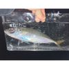 Fishing Tackle for Observing and Shooting Caught Fish, Friday Fish Case, Medium Size