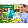 RESCUE! Disposable Yellowjacket Trap - Central & Eastern Formula - 4 Traps