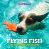 Ruff Dawg Flying Fish Floating Dog Toy Assorted Neon Colors