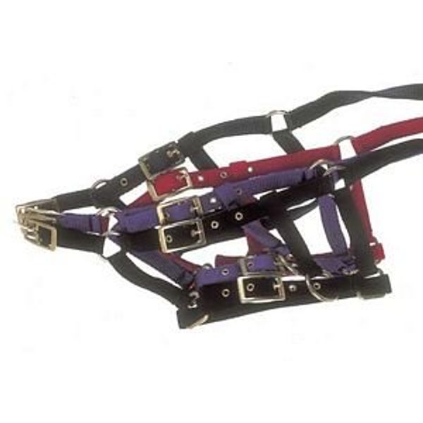 Adjustable Foal Headcollar - Red