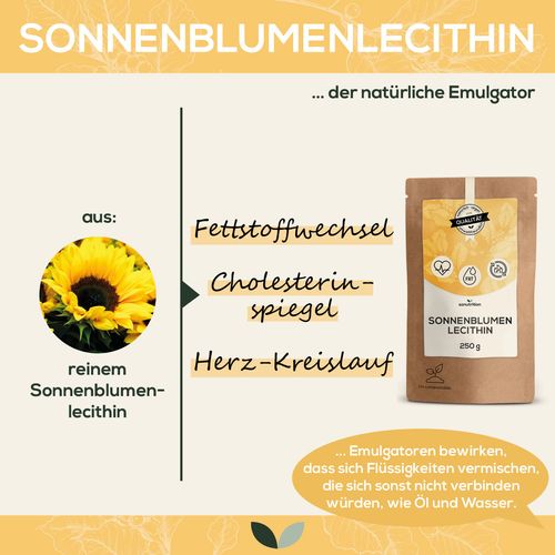 Sunflower Lecithin 250 g Pure Lecithin High Bioavailability Powder for Cooking & Baking Vegan